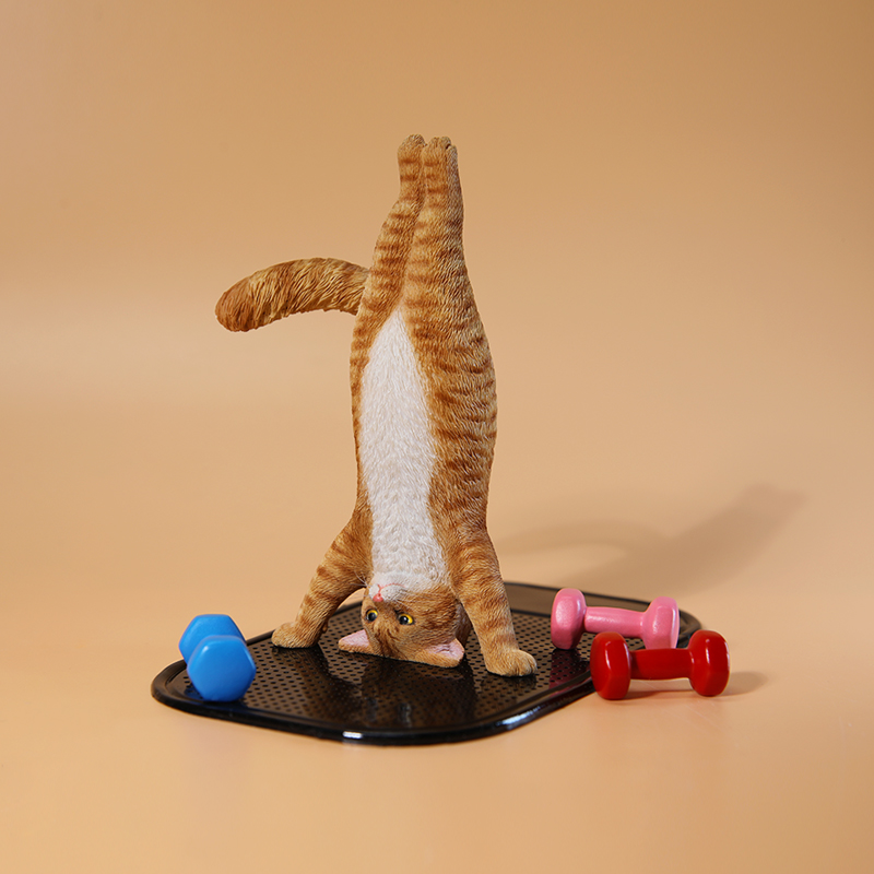 Mini-Simulations-Fitness-Katze – Yoga Fitness Tva Bewertung und Preis