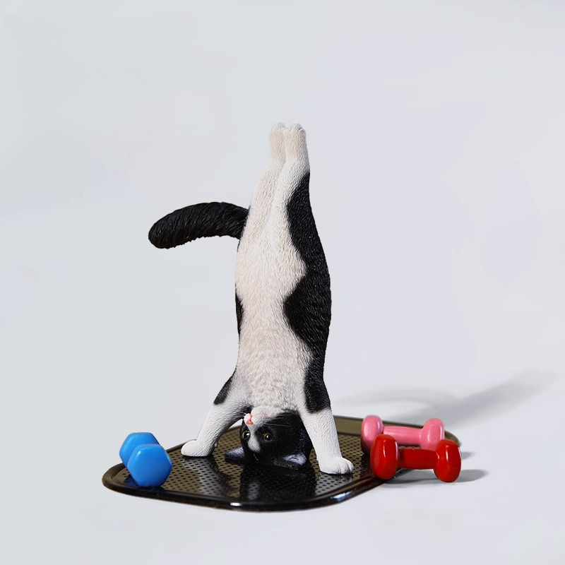 Mini-Simulations-Fitness-Katze – Yoga Fitness Tva Bewertung und Preis